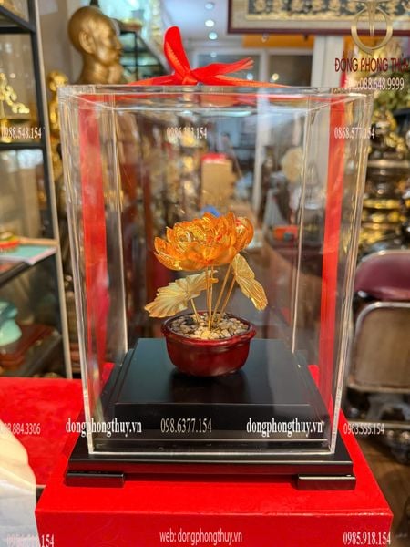 Hoa sen mạ vàng 24k 17x13,5x22cm