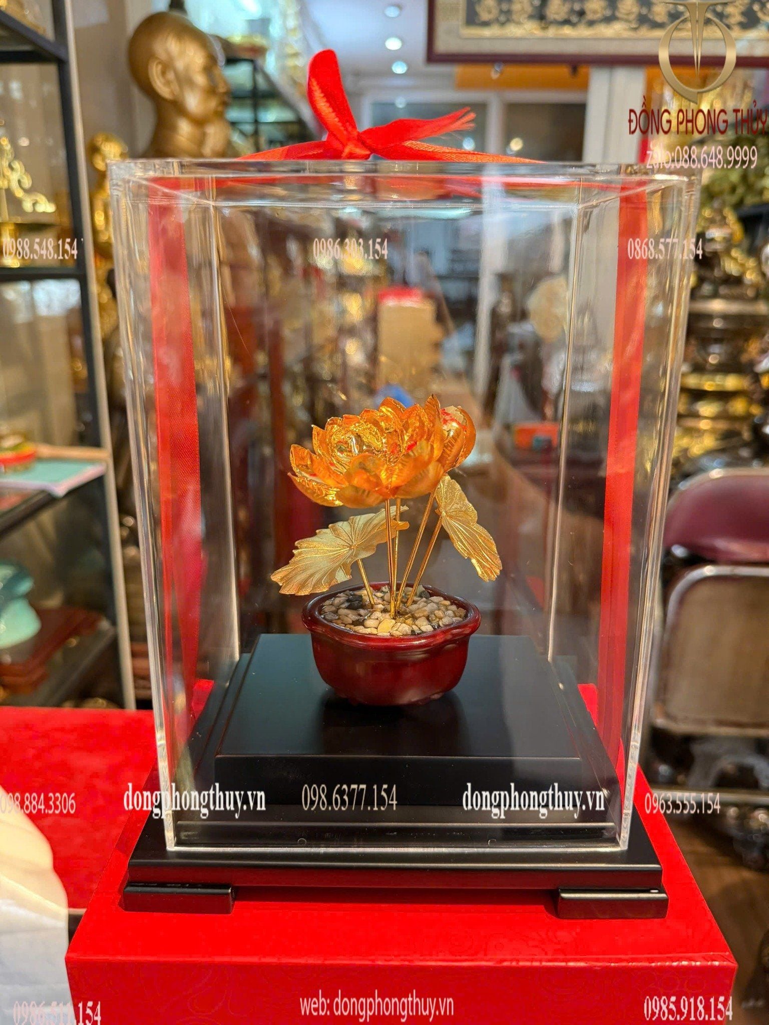 Hình ảnh sản phẩm