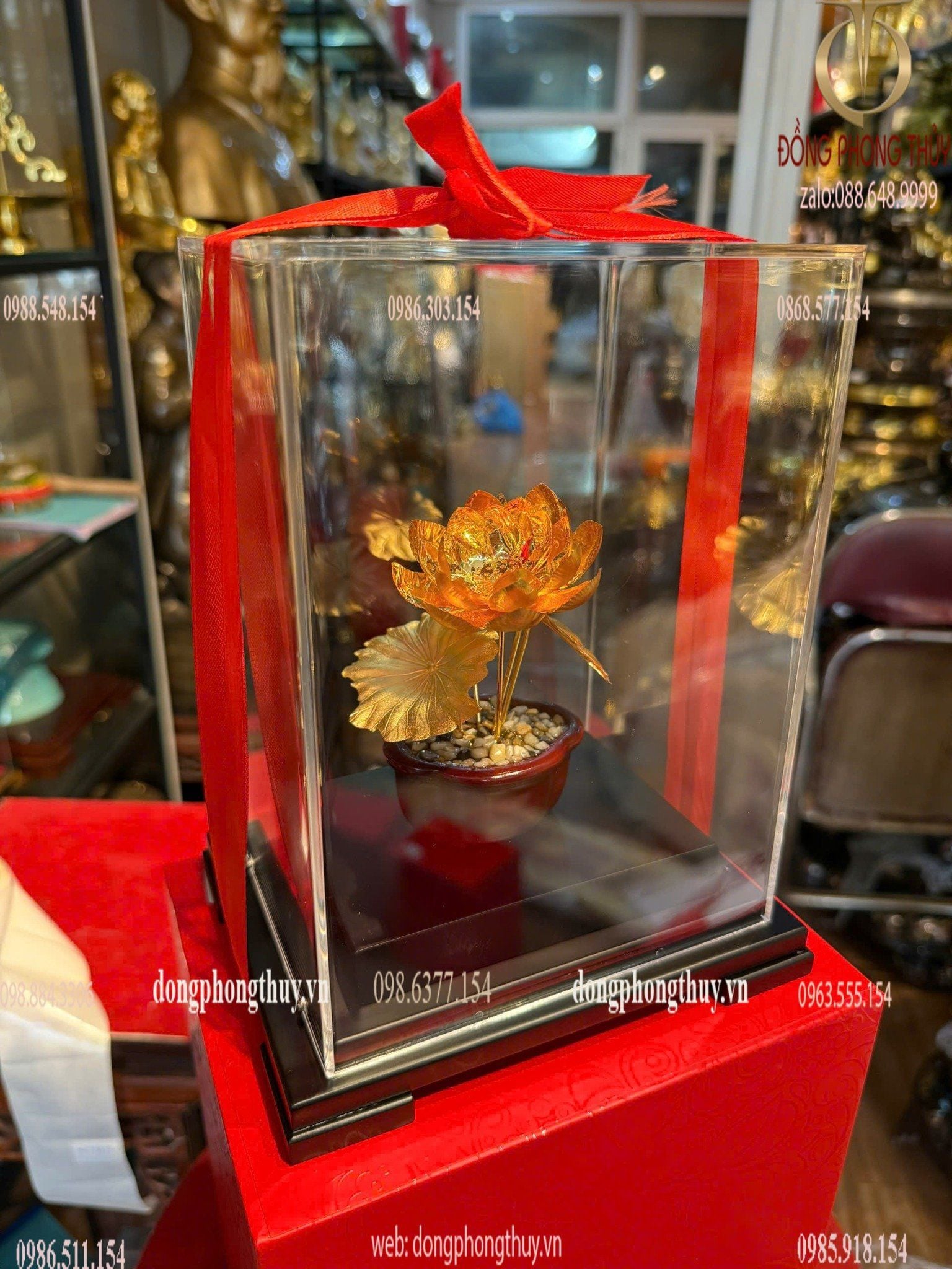 Hình ảnh sản phẩm