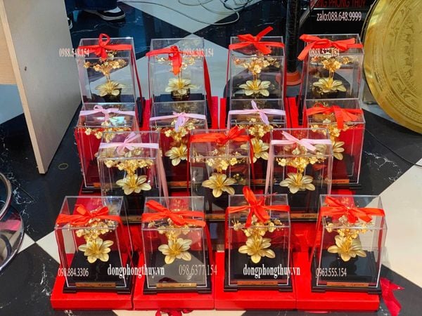 Quà tặng sếp: Chậu hoa lan 3 cành quà tặng mạ vàng 24k