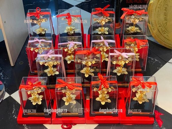 Quà tặng sếp: Chậu hoa lan 3 cành quà tặng mạ vàng 24k