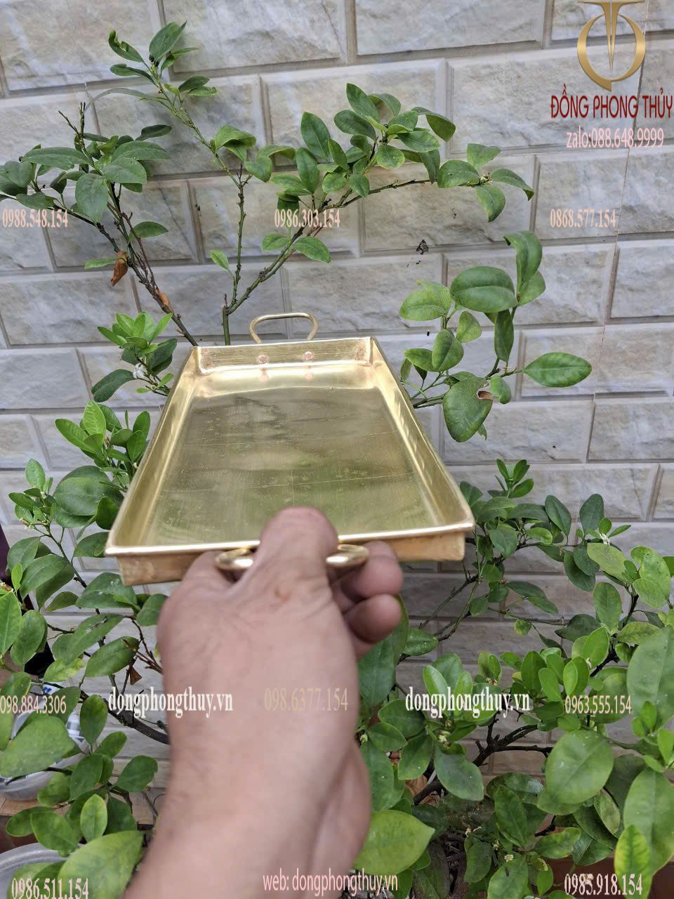 Hình ảnh sản phẩm