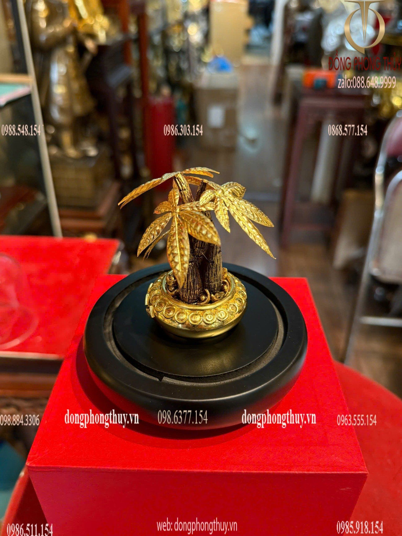 Hình ảnh sản phẩm