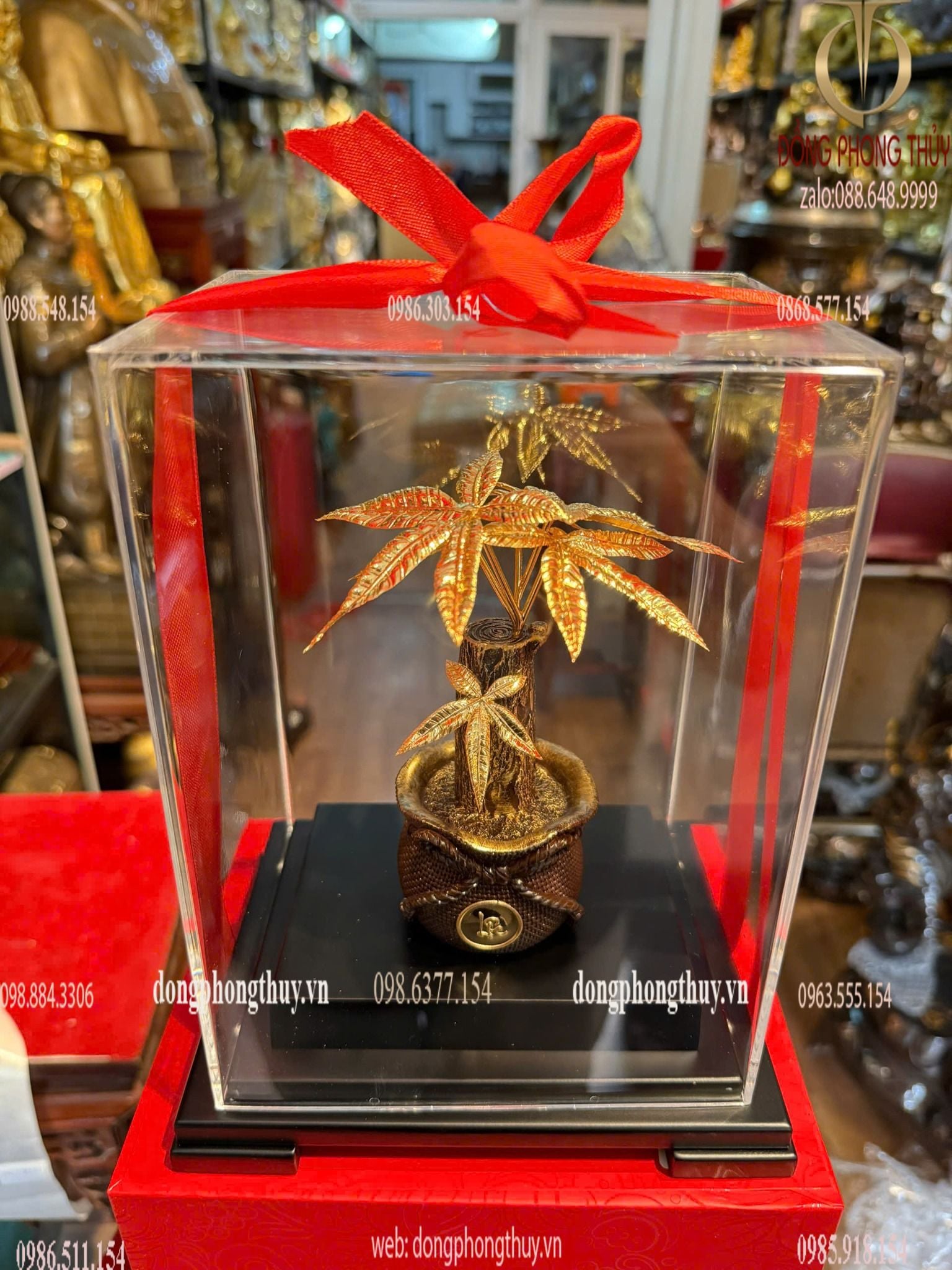 Hình ảnh sản phẩm