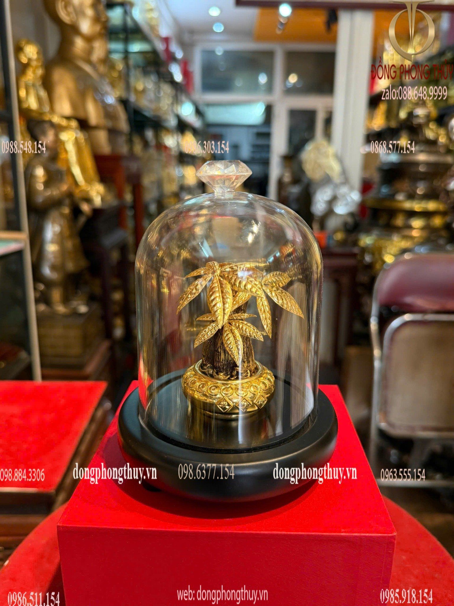Hình ảnh sản phẩm