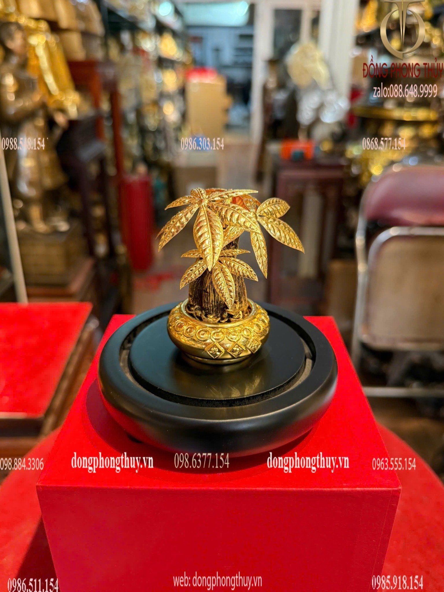 Hình ảnh sản phẩm