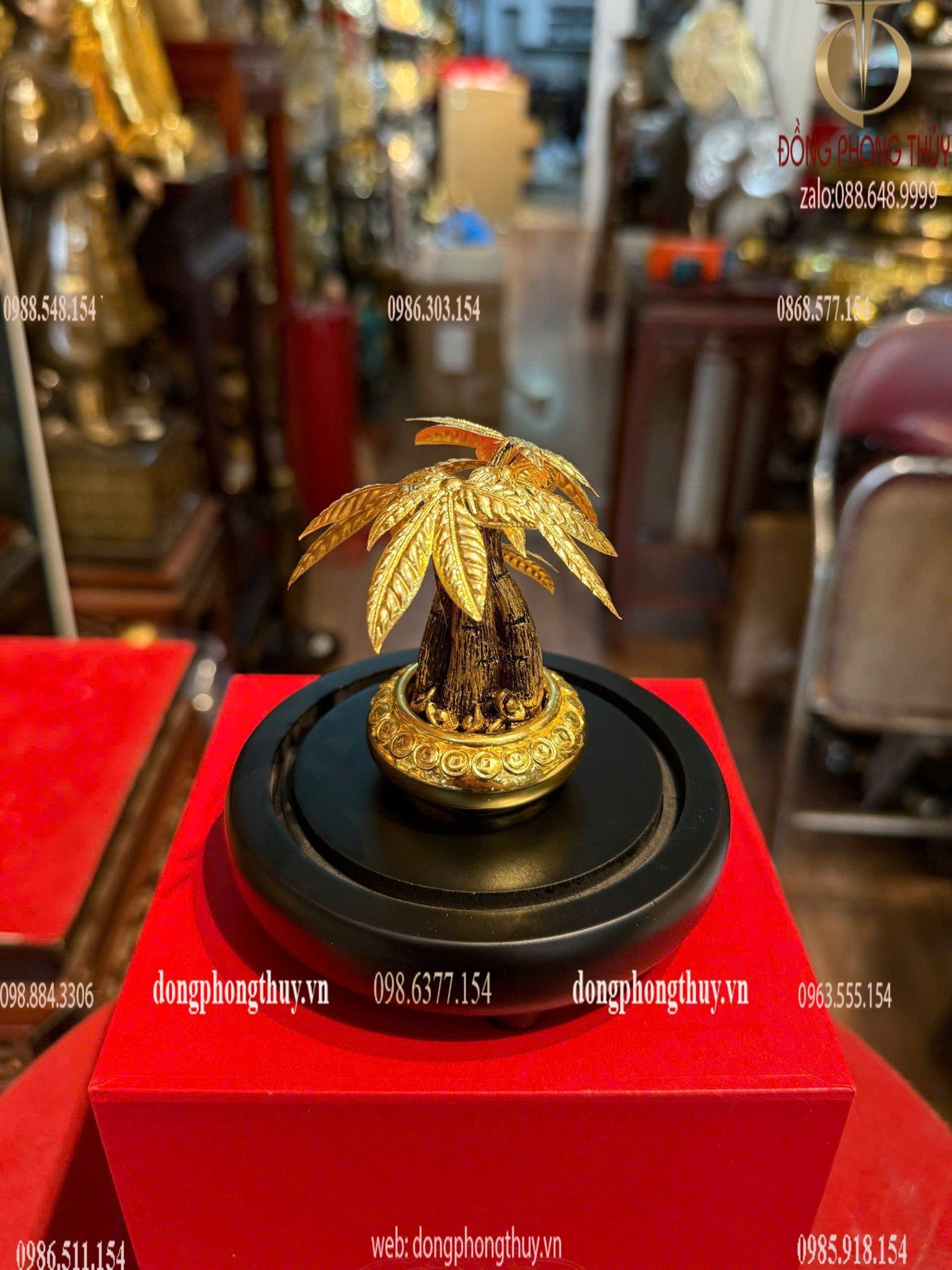 Hình ảnh sản phẩm