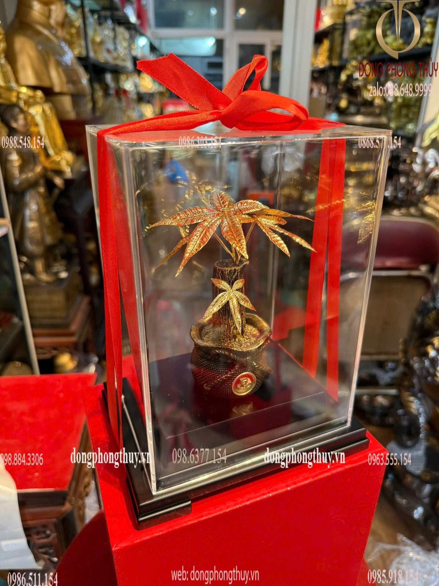 Hình ảnh sản phẩm