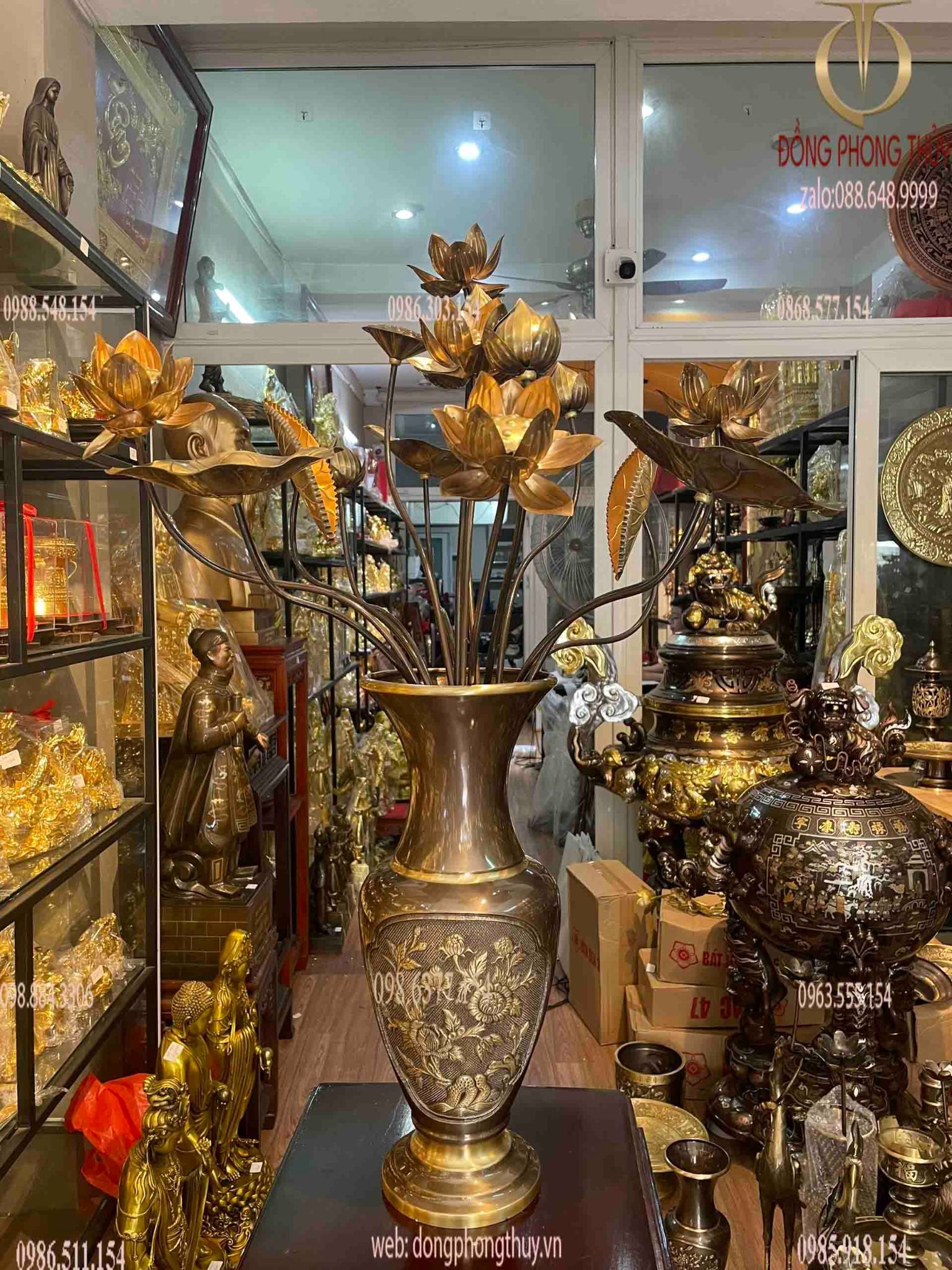 Hình ảnh sản phẩm