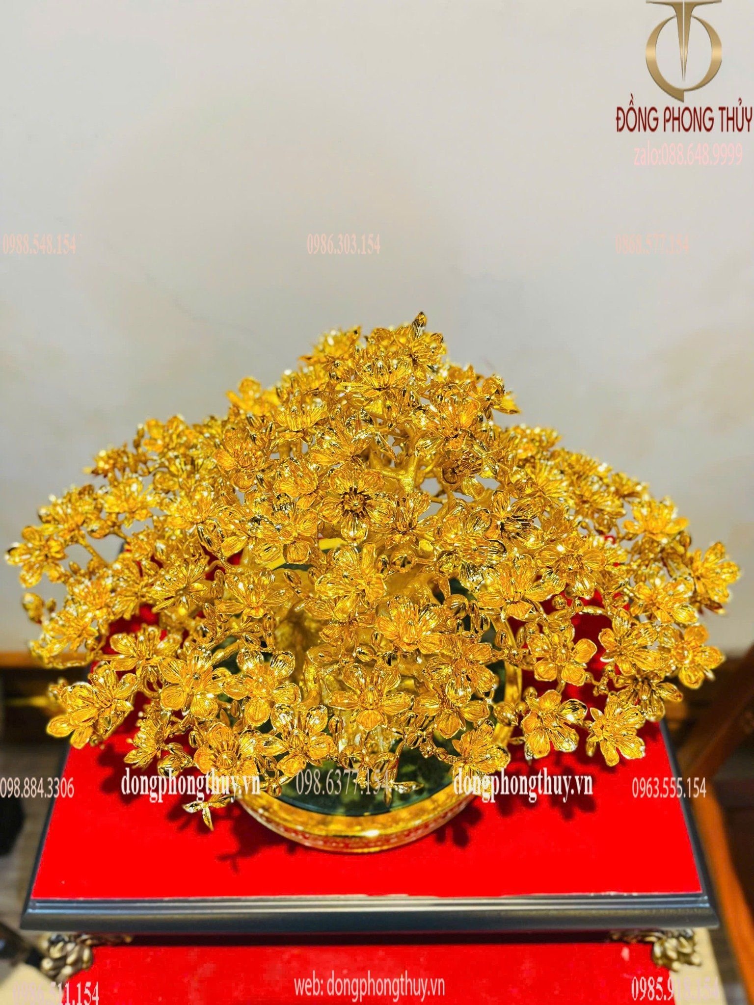 Hình ảnh sản phẩm