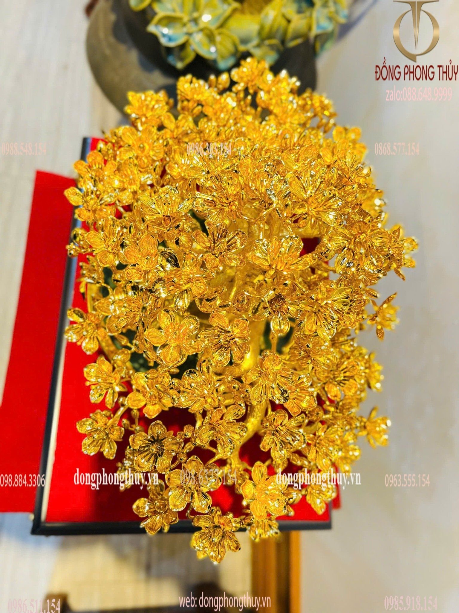 Hình ảnh sản phẩm