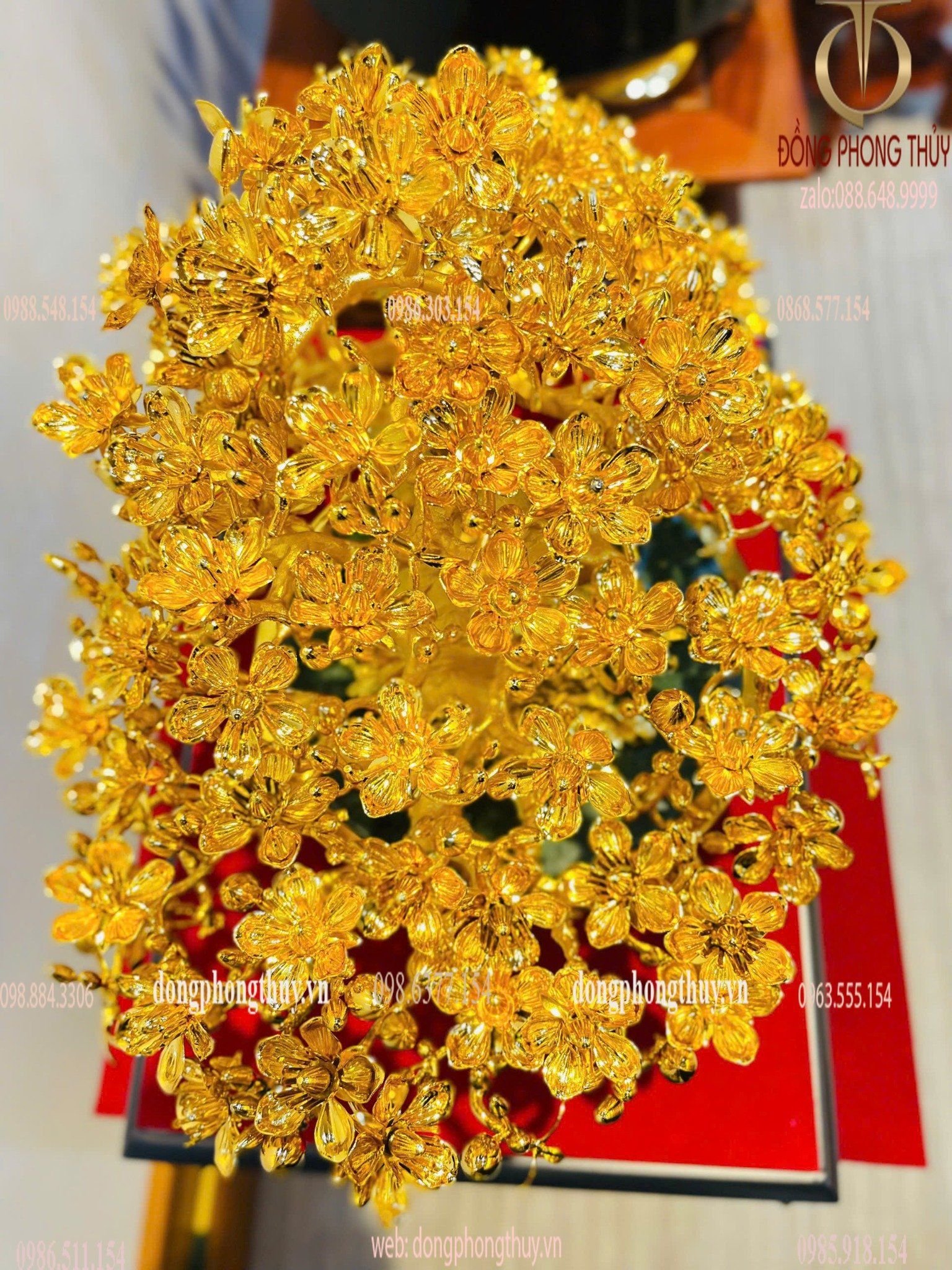 Hình ảnh sản phẩm