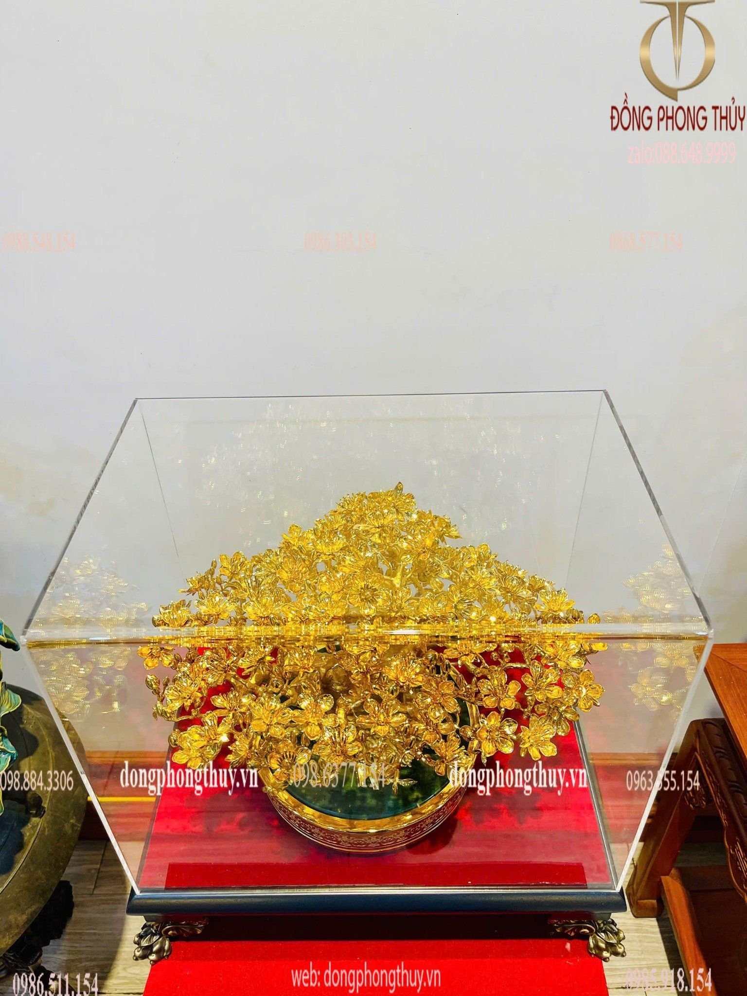 Hình ảnh sản phẩm