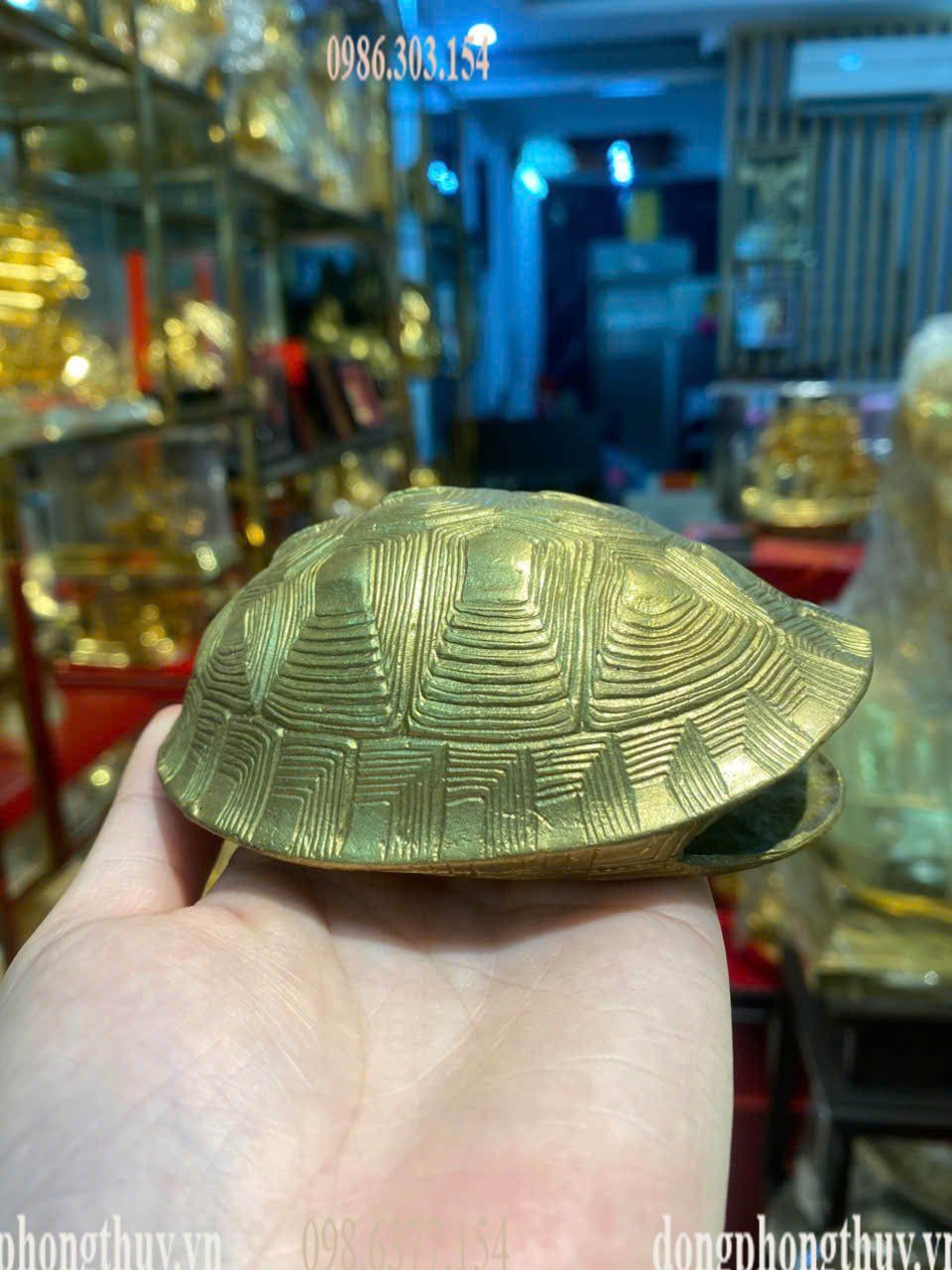 Mai rùa bằng đồng