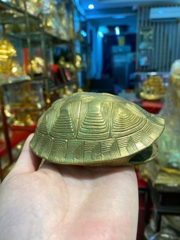 Mai rùa bằng đồng