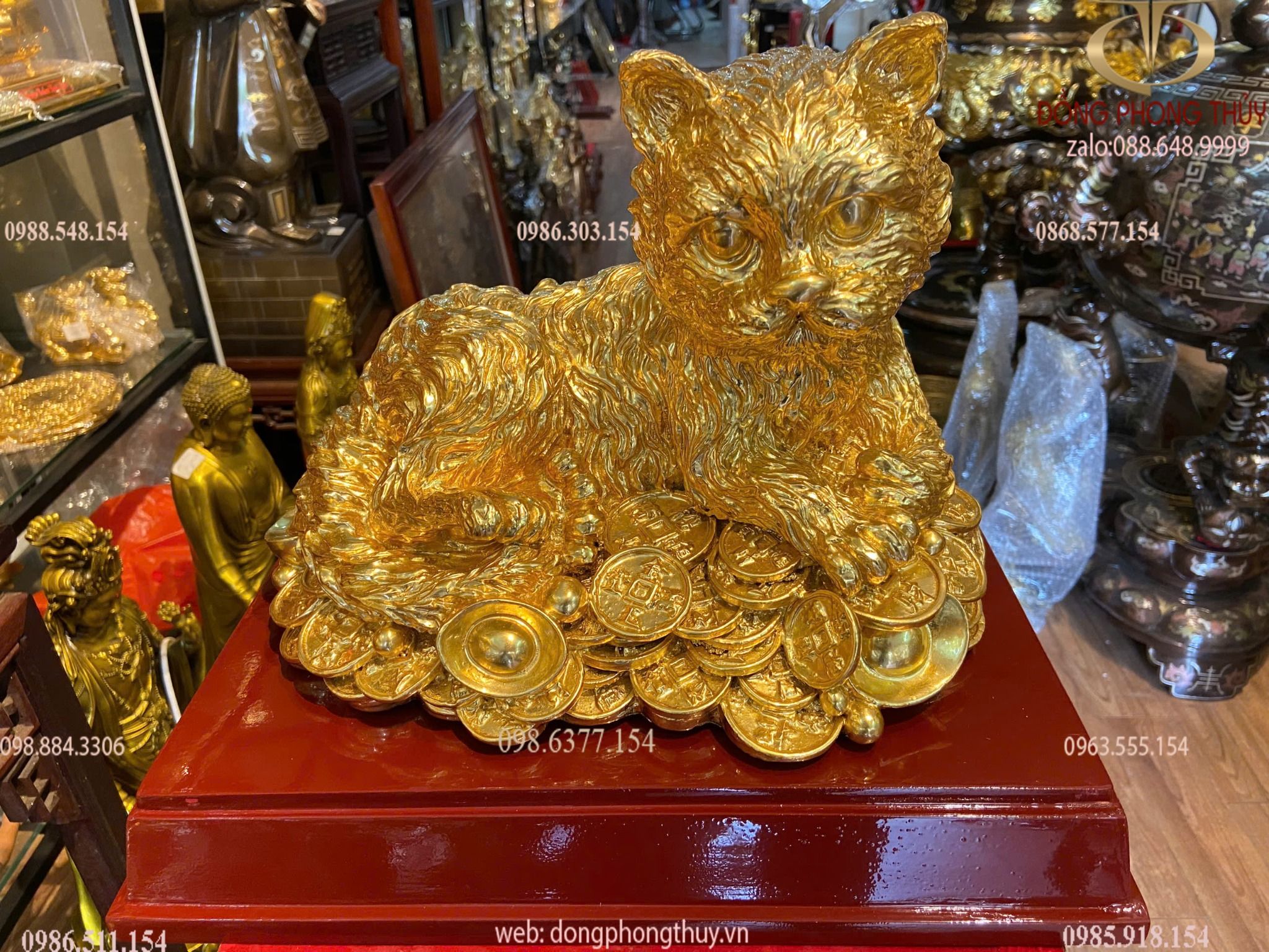 Hình ảnh sản phẩm
