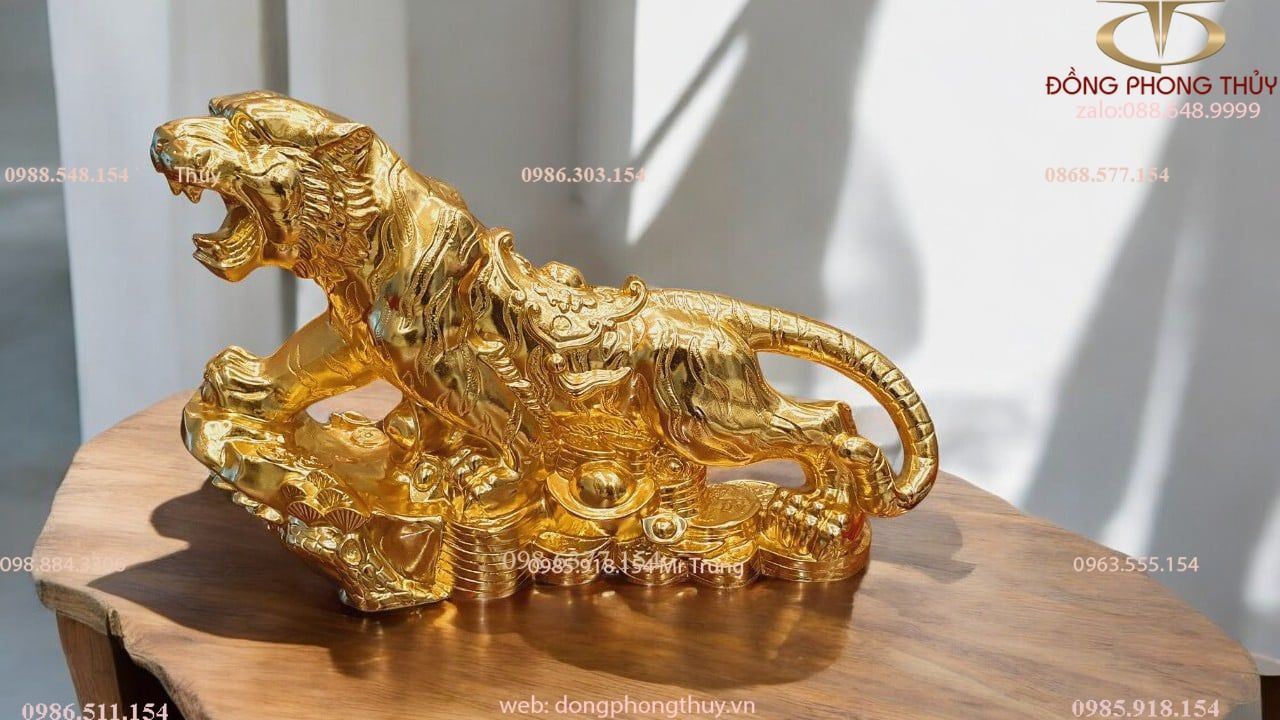 Hình ảnh sản phẩm