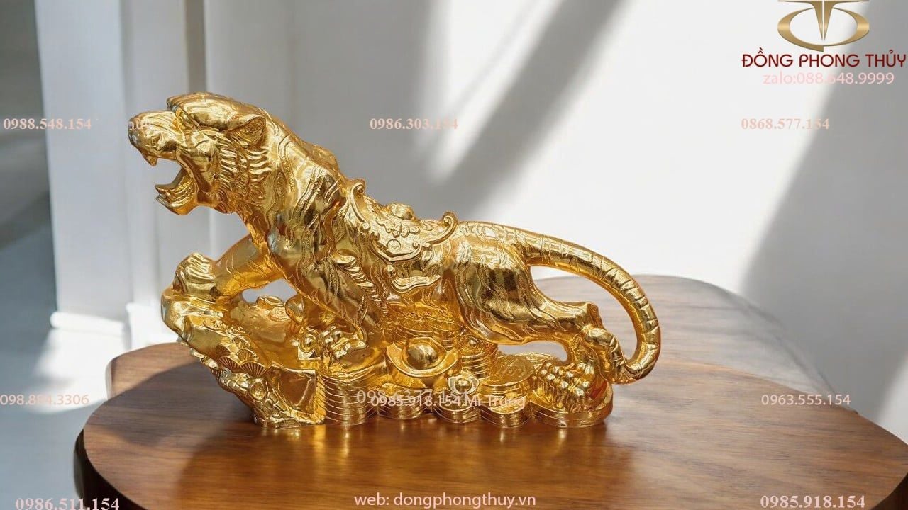 Hình ảnh sản phẩm