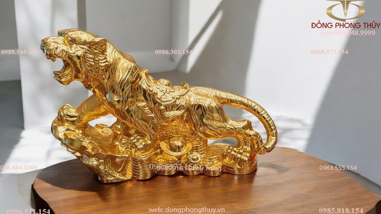 Hình ảnh sản phẩm