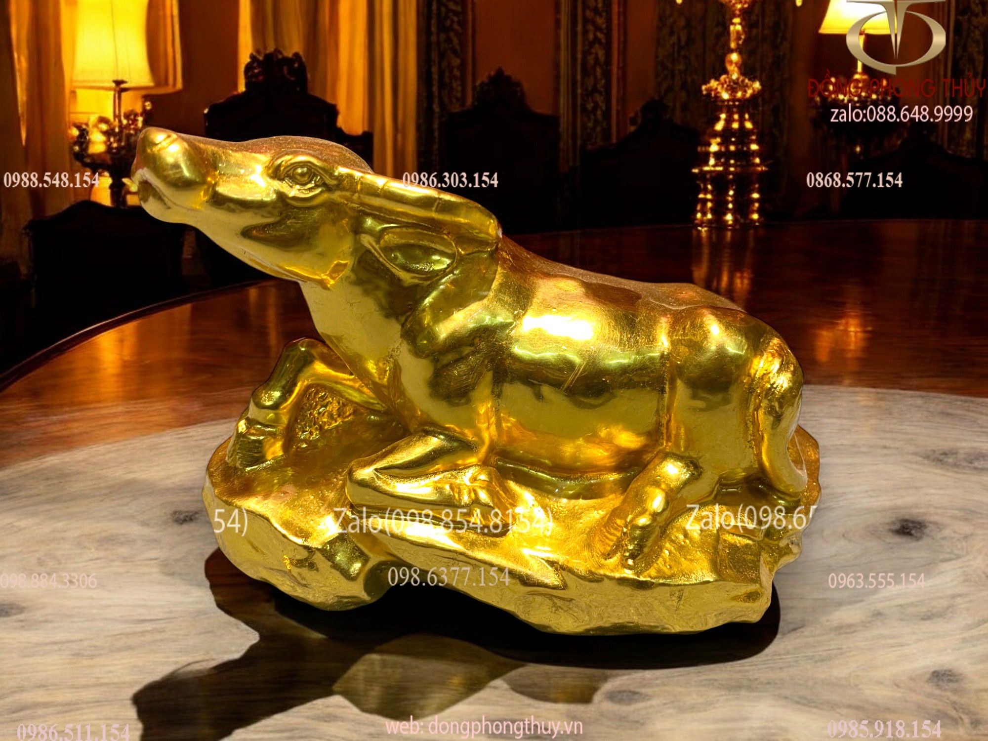 Hình ảnh sản phẩm
