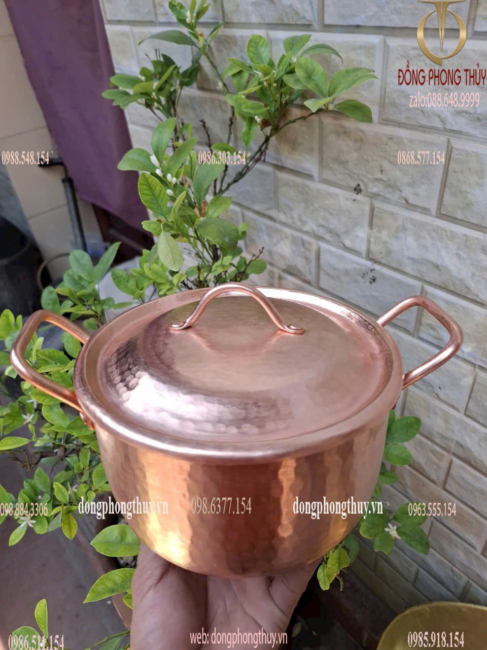 Hình ảnh sản phẩm