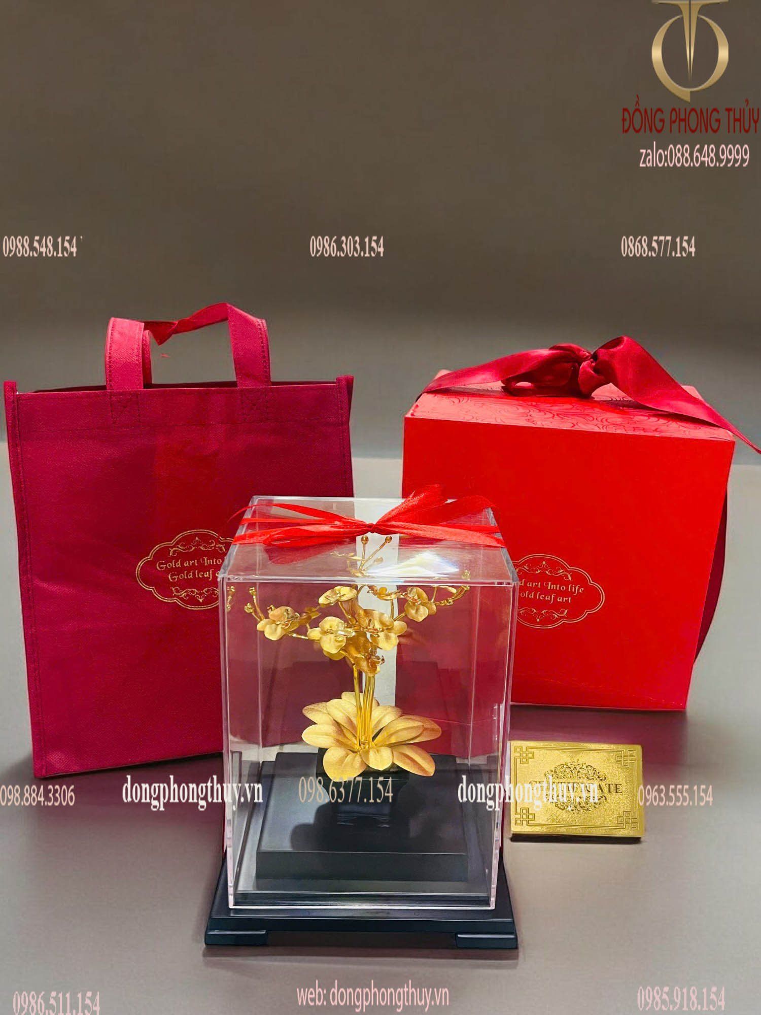 Quà tặng doanh nghiệp: Chậu hoa lan 3 cành mạ vàng 24k