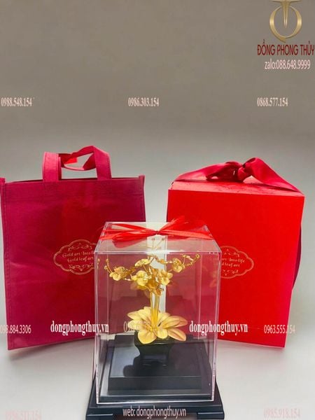 Quà tặng doanh nghiệp: Chậu hoa lan 3 cành mạ vàng 24k
