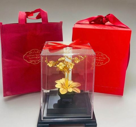 Quà tặng doanh nghiệp: Chậu hoa lan 3 cành mạ vàng 24k