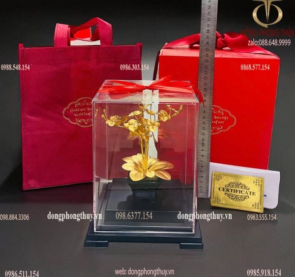 Quà tặng doanh nghiệp: Chậu hoa lan 3 cành mạ vàng 24k