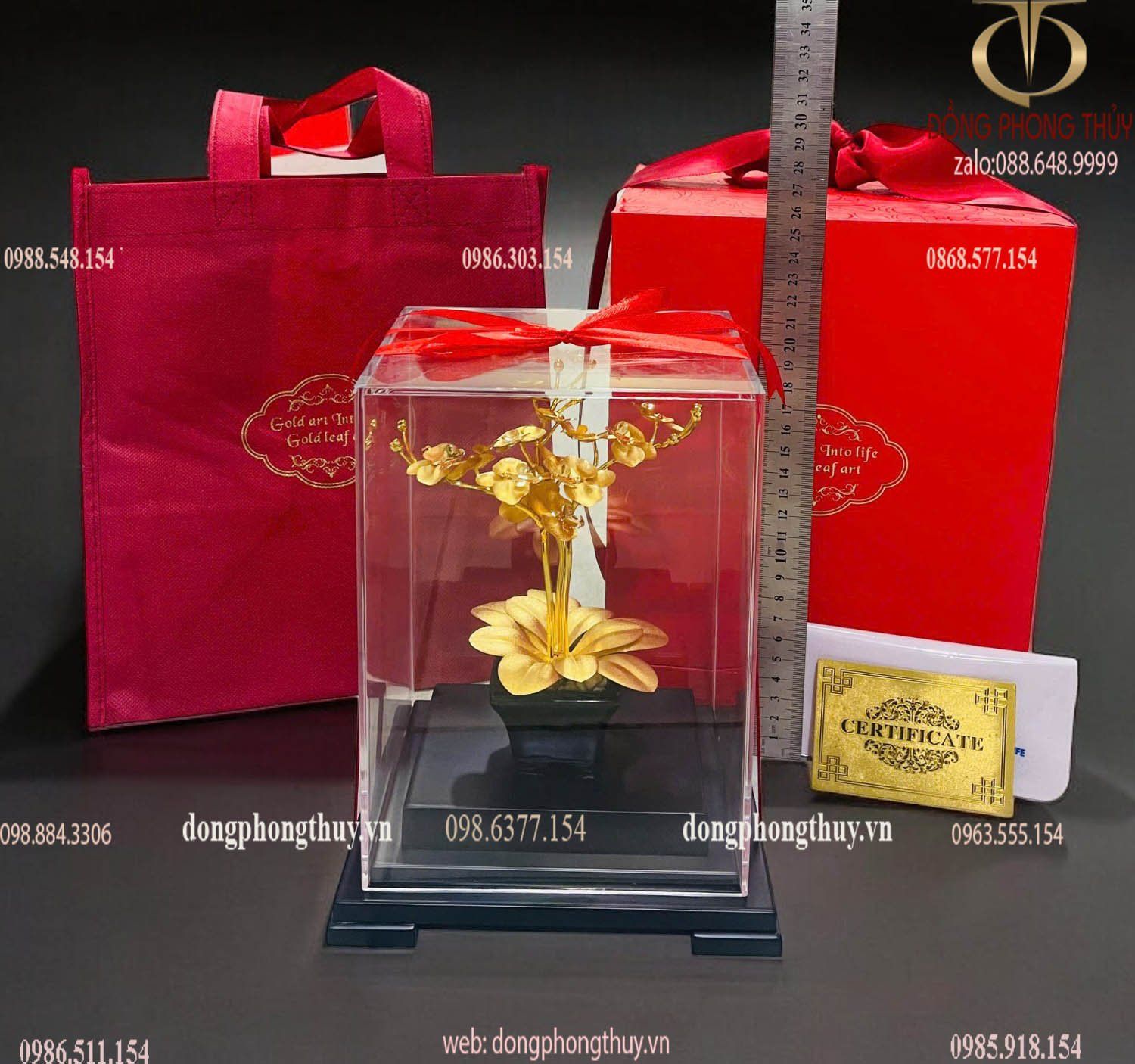 Quà tặng doanh nghiệp: Chậu hoa lan 3 cành mạ vàng 24k
