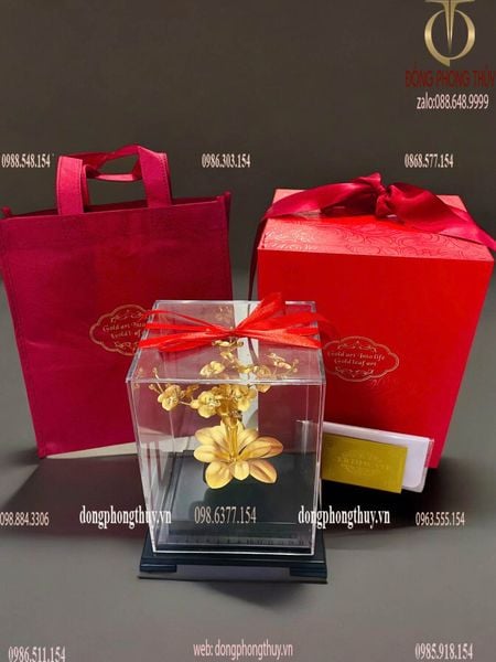 Quà tặng doanh nghiệp: Chậu hoa lan 3 cành mạ vàng 24k