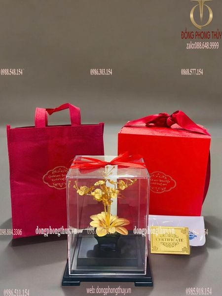 Quà tặng doanh nghiệp: Chậu hoa lan 3 cành mạ vàng 24k