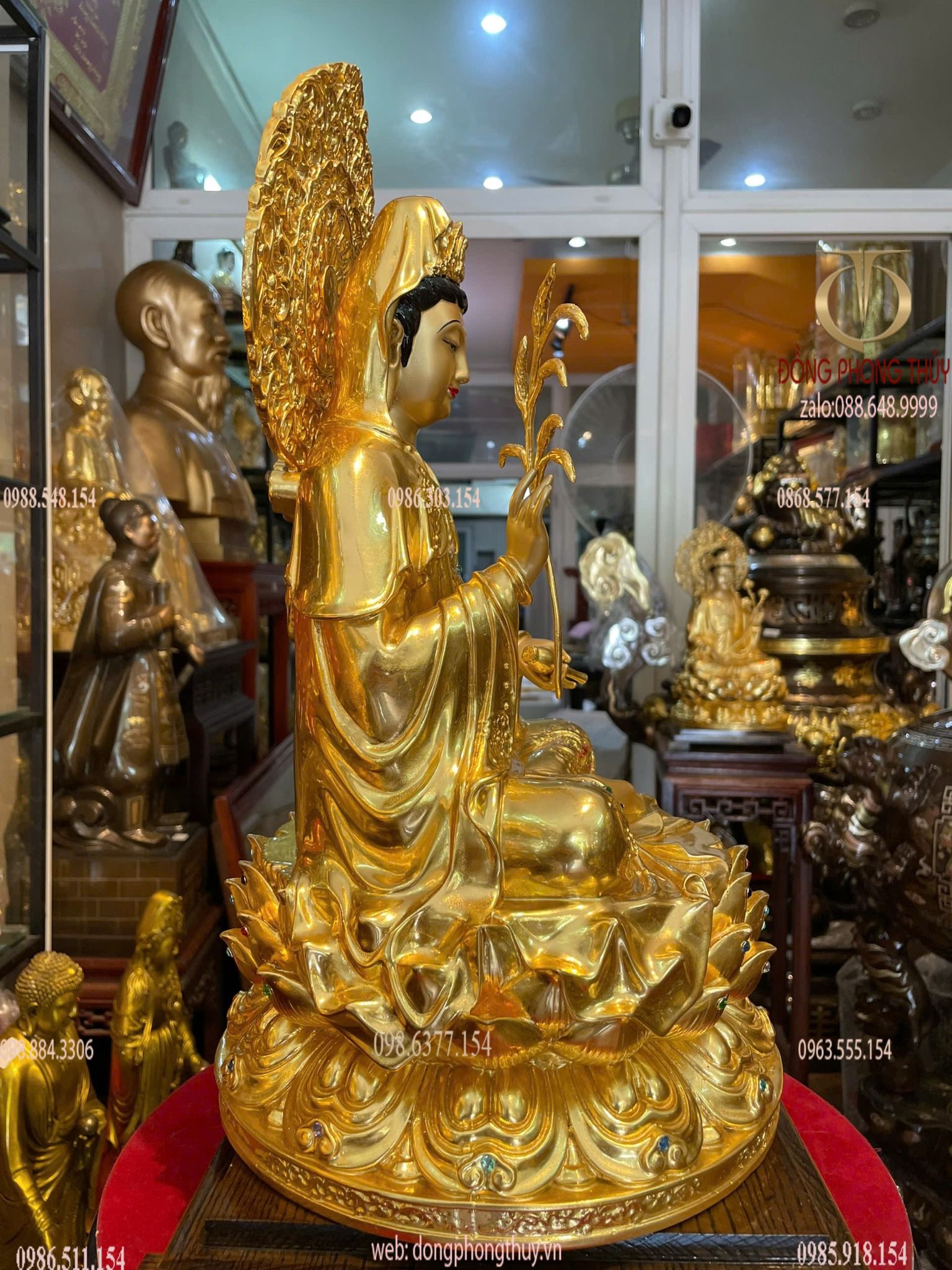 Hình ảnh sản phẩm