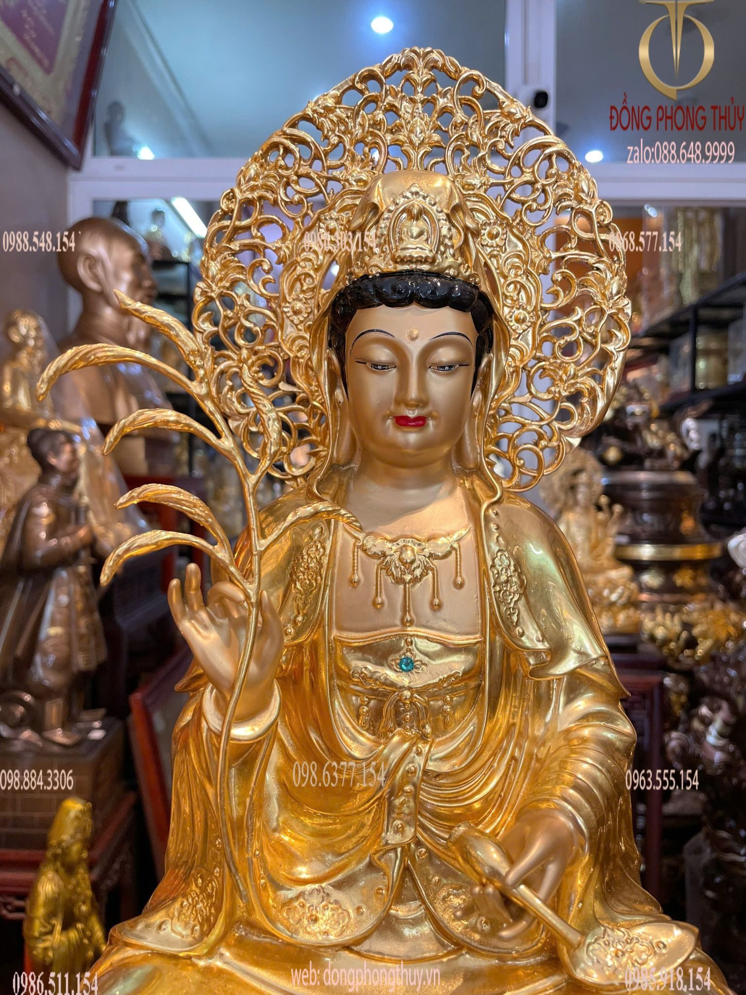 Hình ảnh sản phẩm