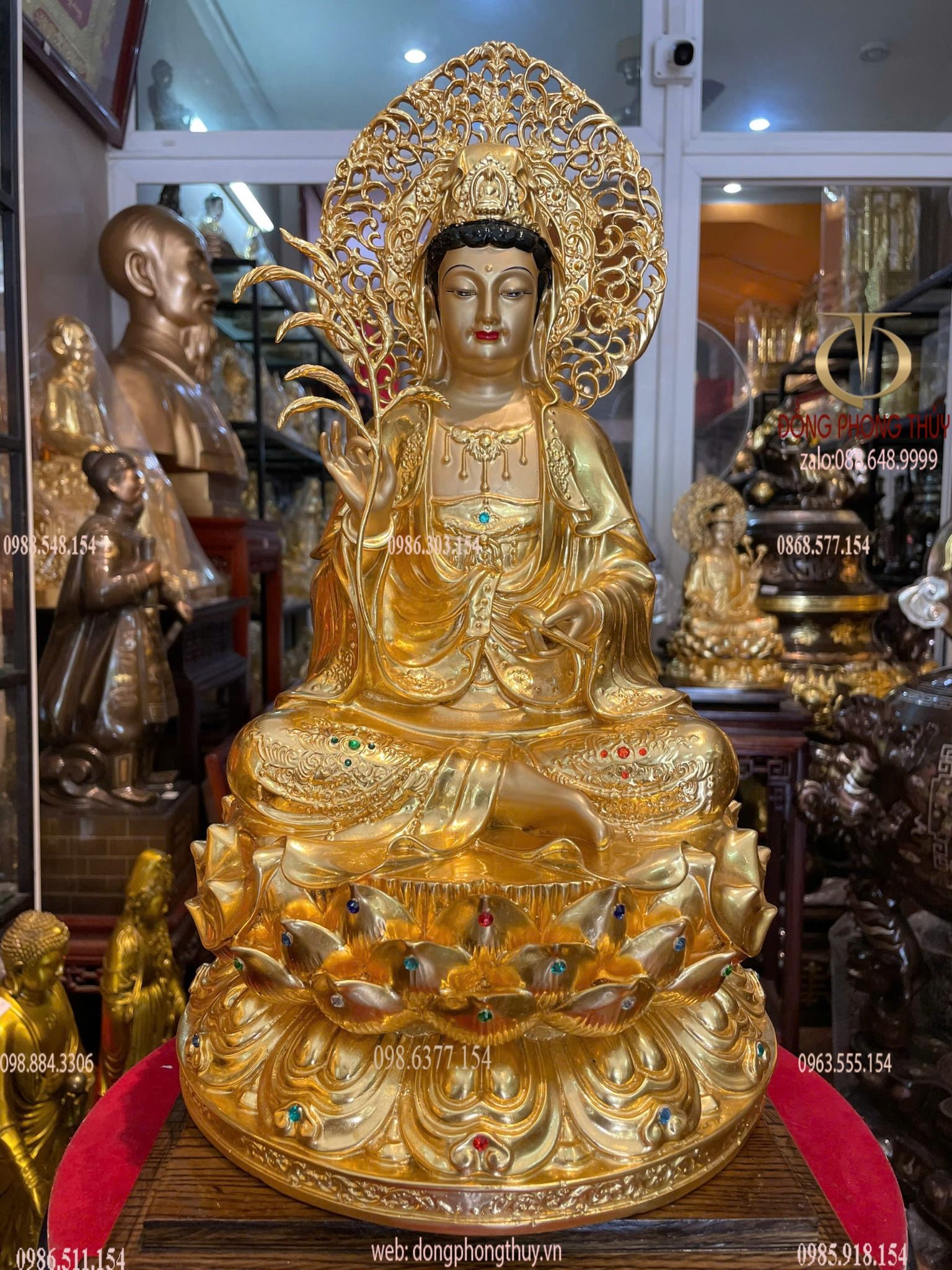 Hình ảnh sản phẩm
