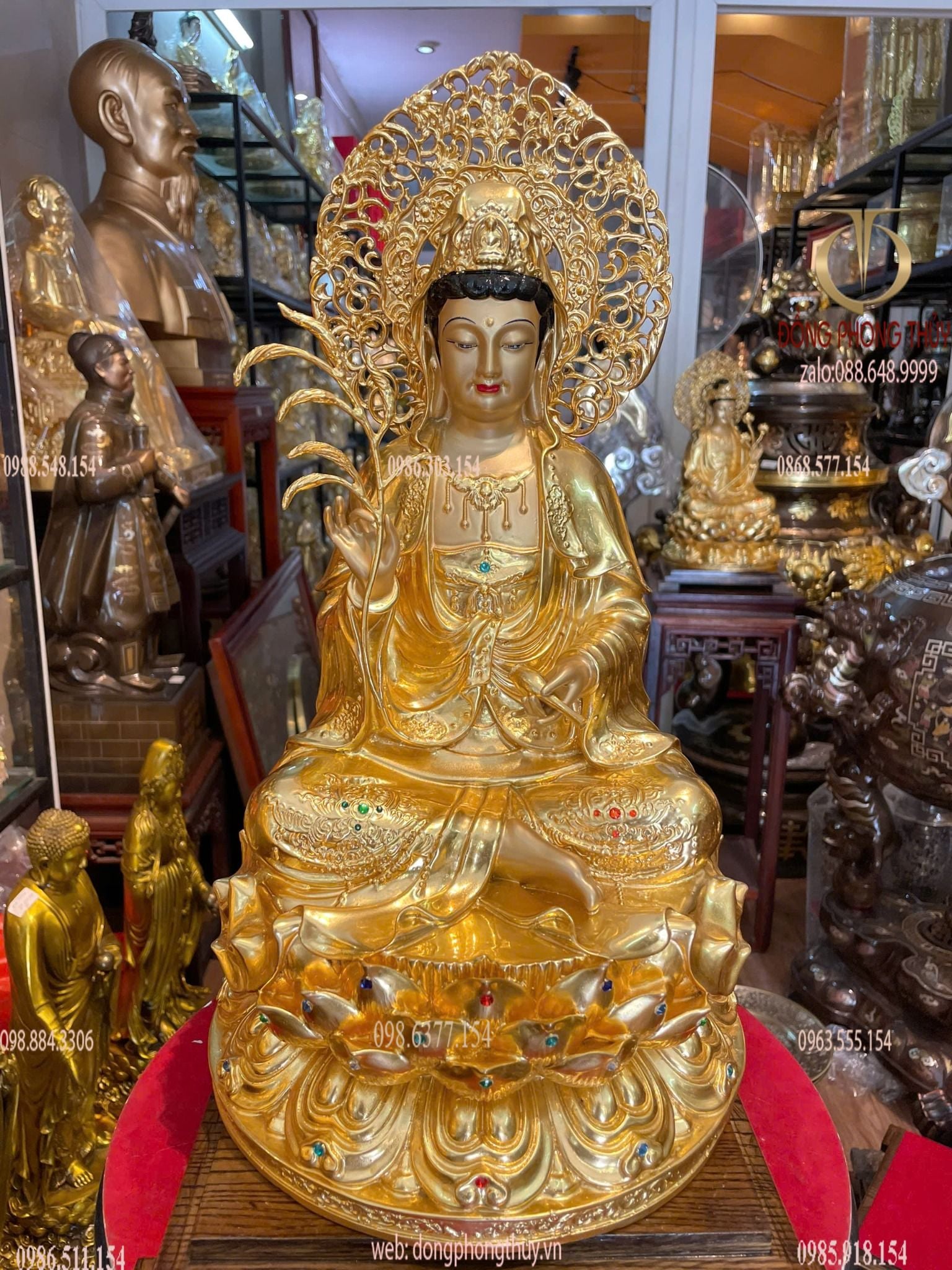 Hình ảnh sản phẩm