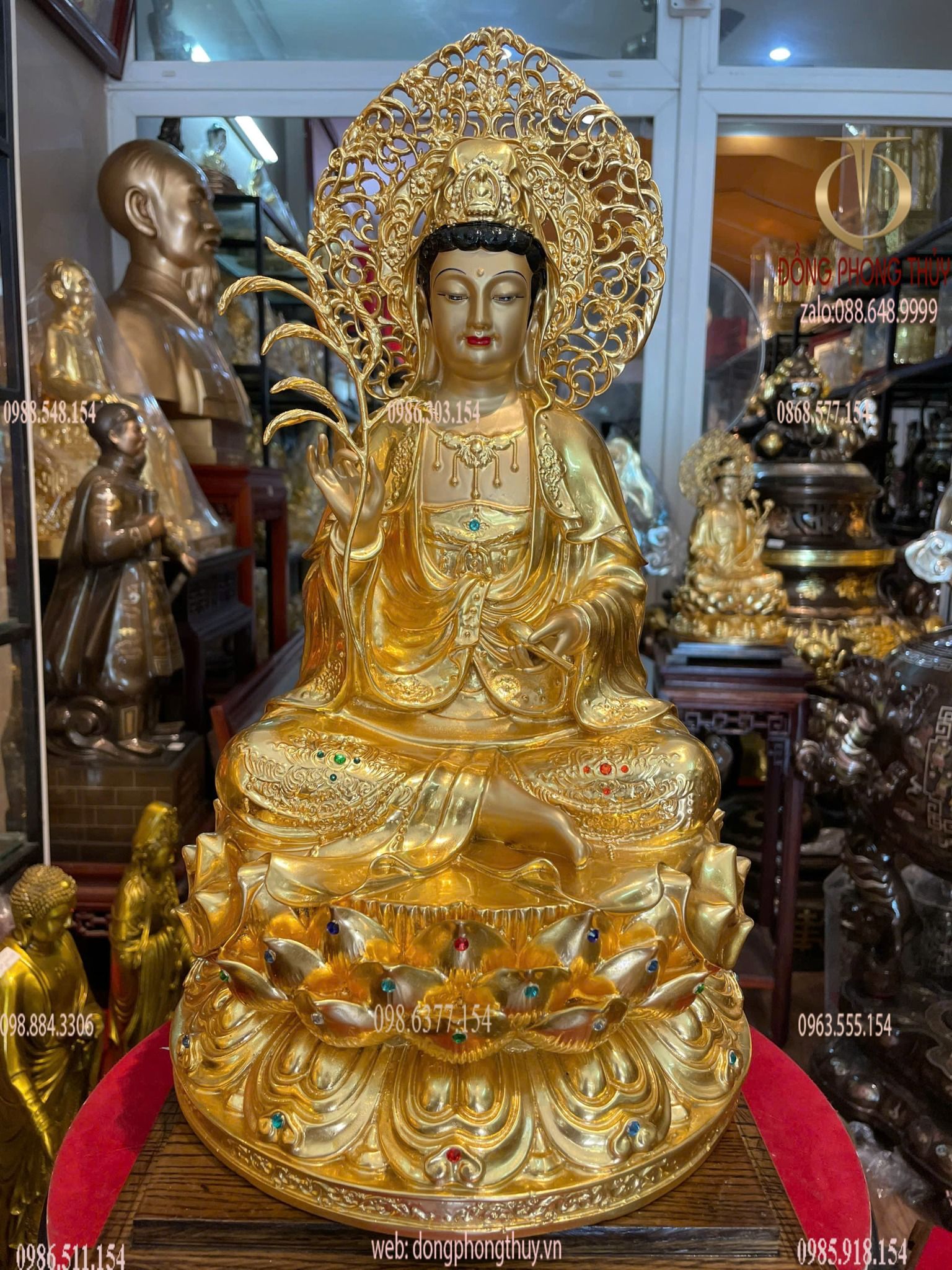 Hình ảnh sản phẩm