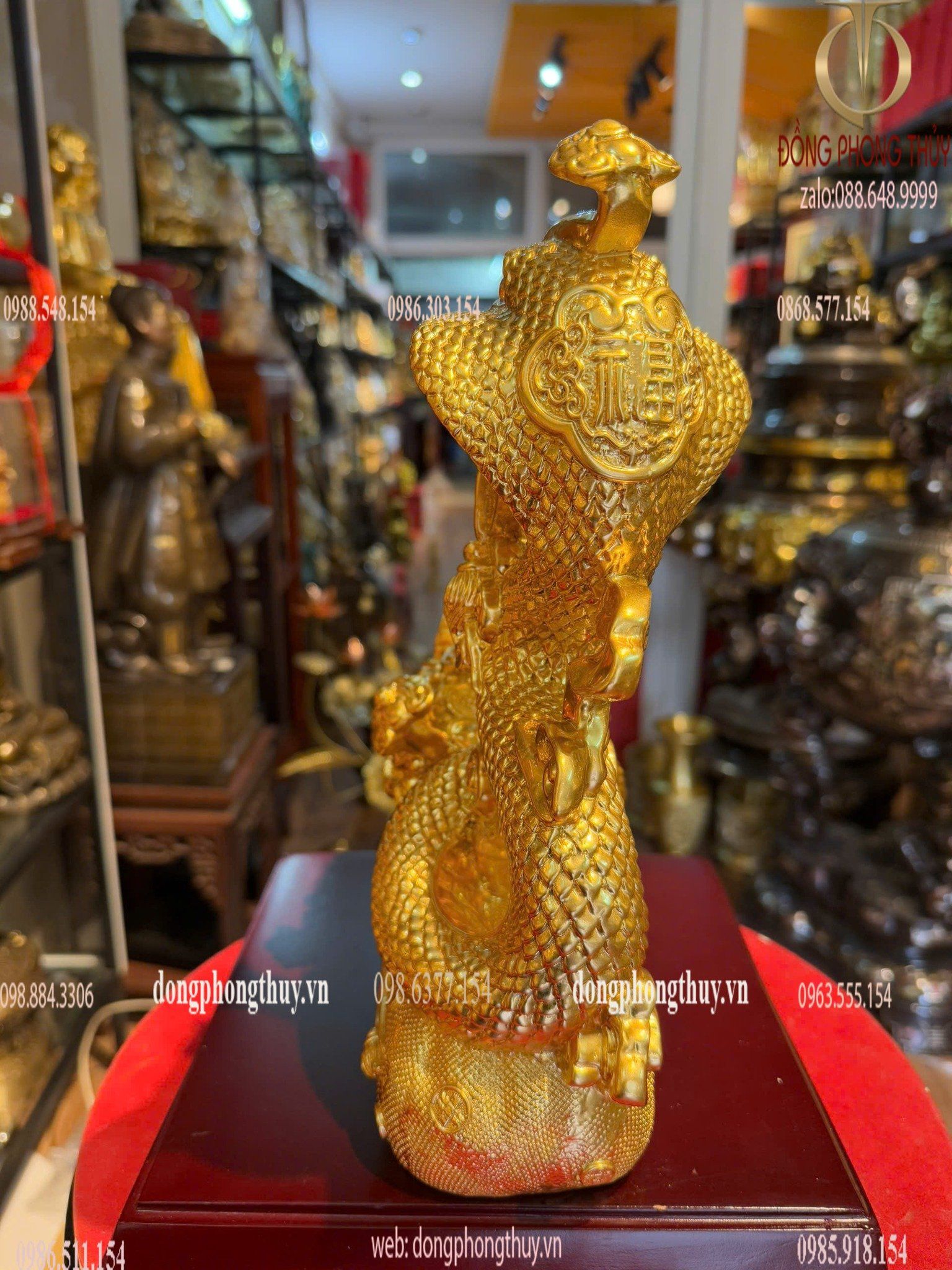 Hình ảnh sản phẩm