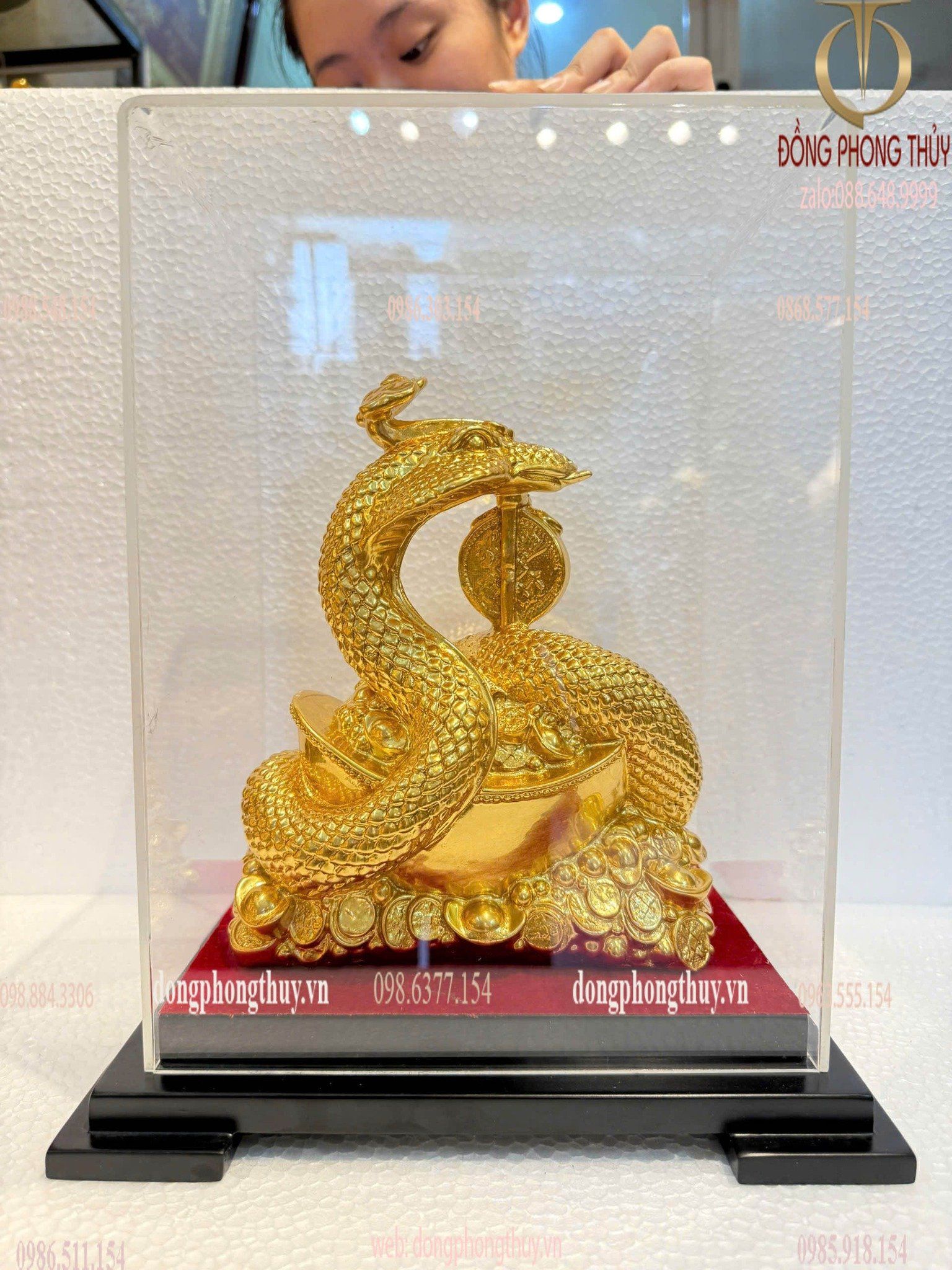 Tượng rắn mạ vàng cuộn thỏi vàng