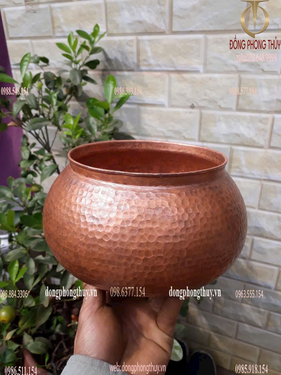 Hình ảnh sản phẩm