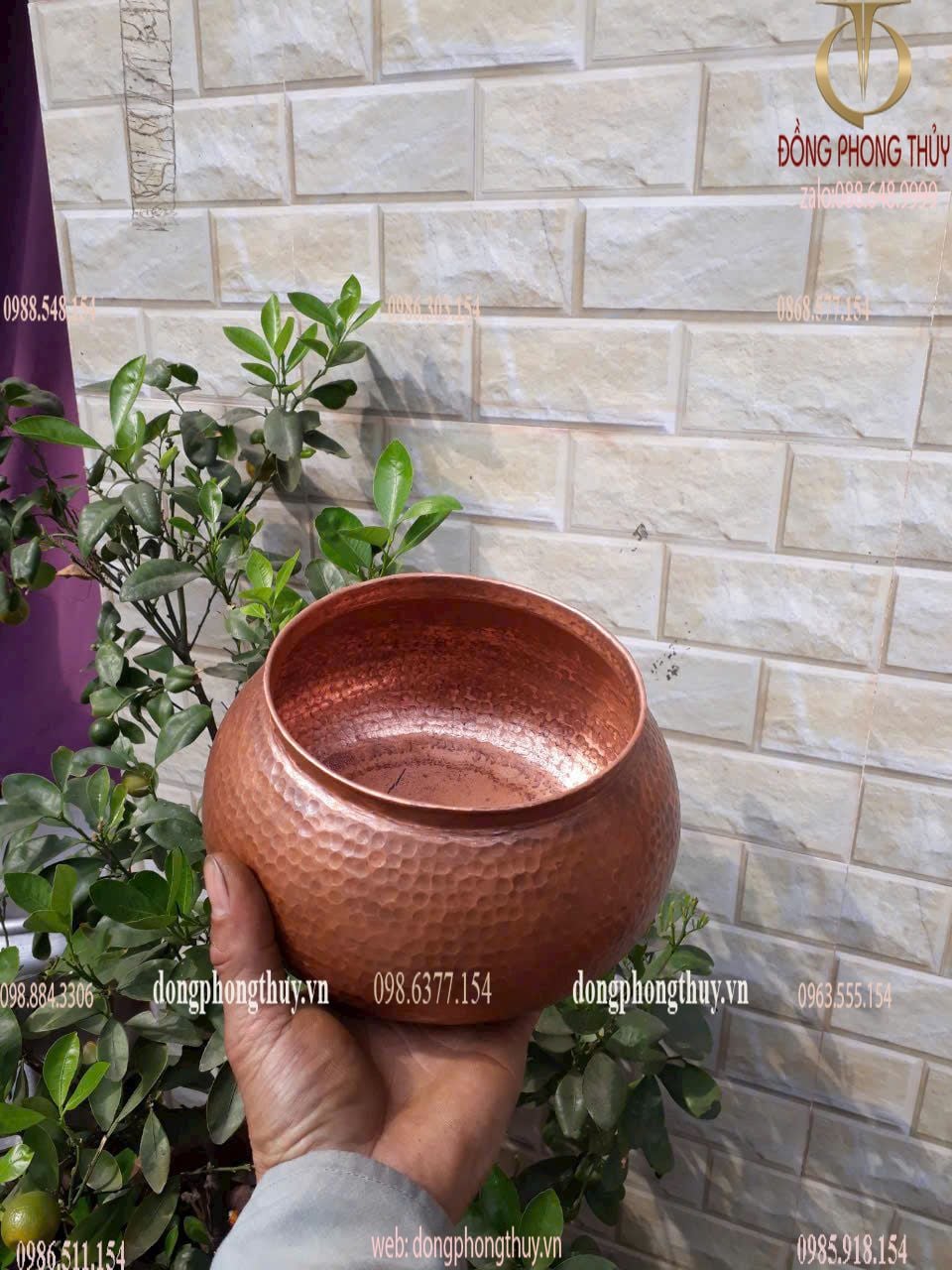 Hình ảnh sản phẩm