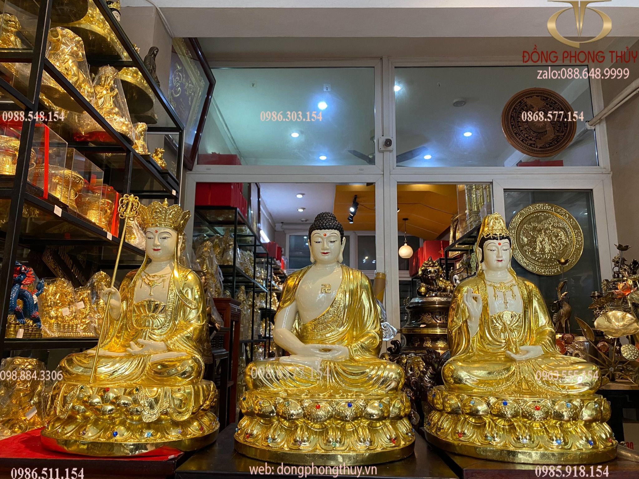 Hình ảnh sản phẩm