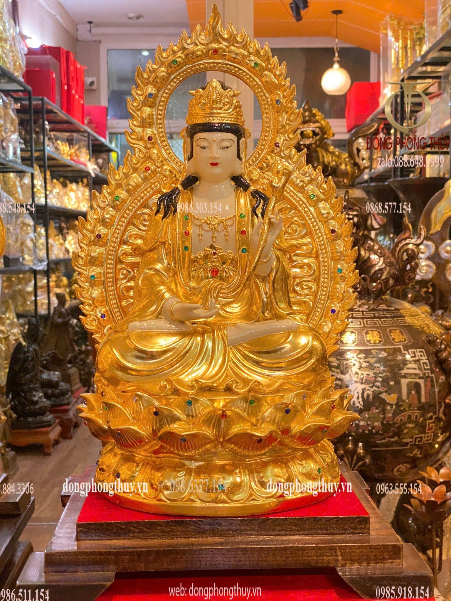Hình ảnh sản phẩm