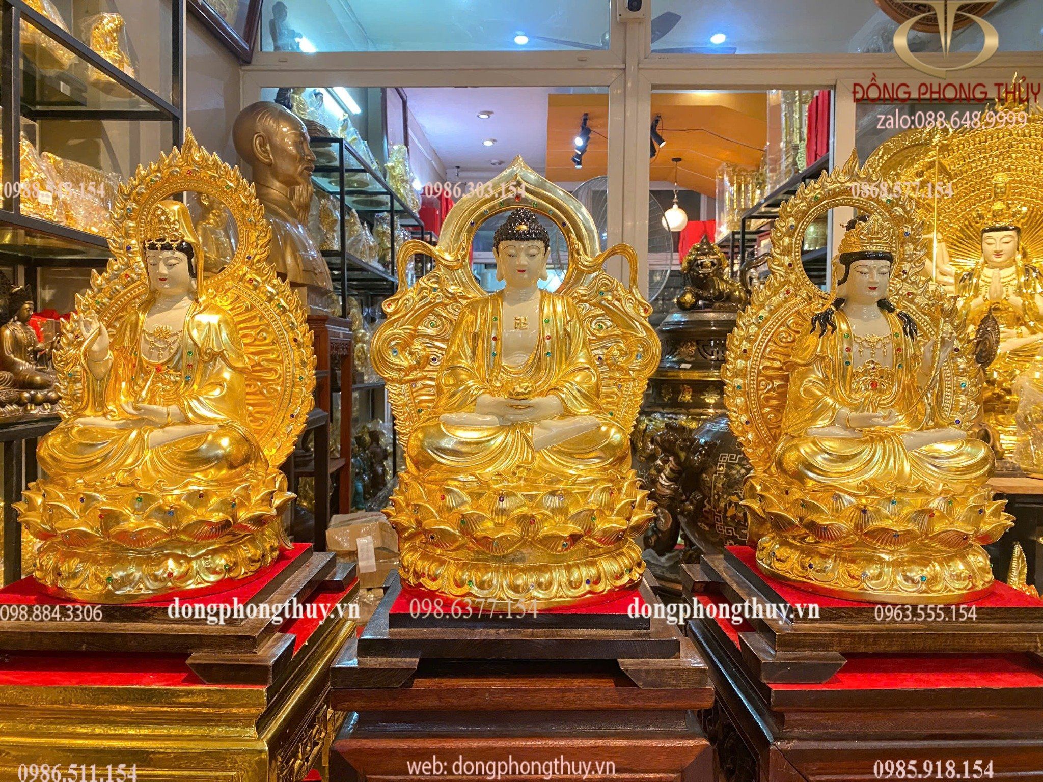 Hình ảnh sản phẩm