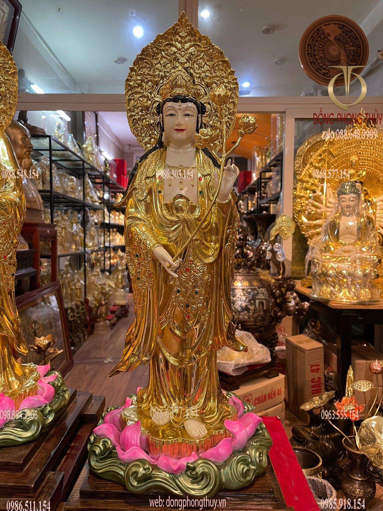 Hình ảnh sản phẩm