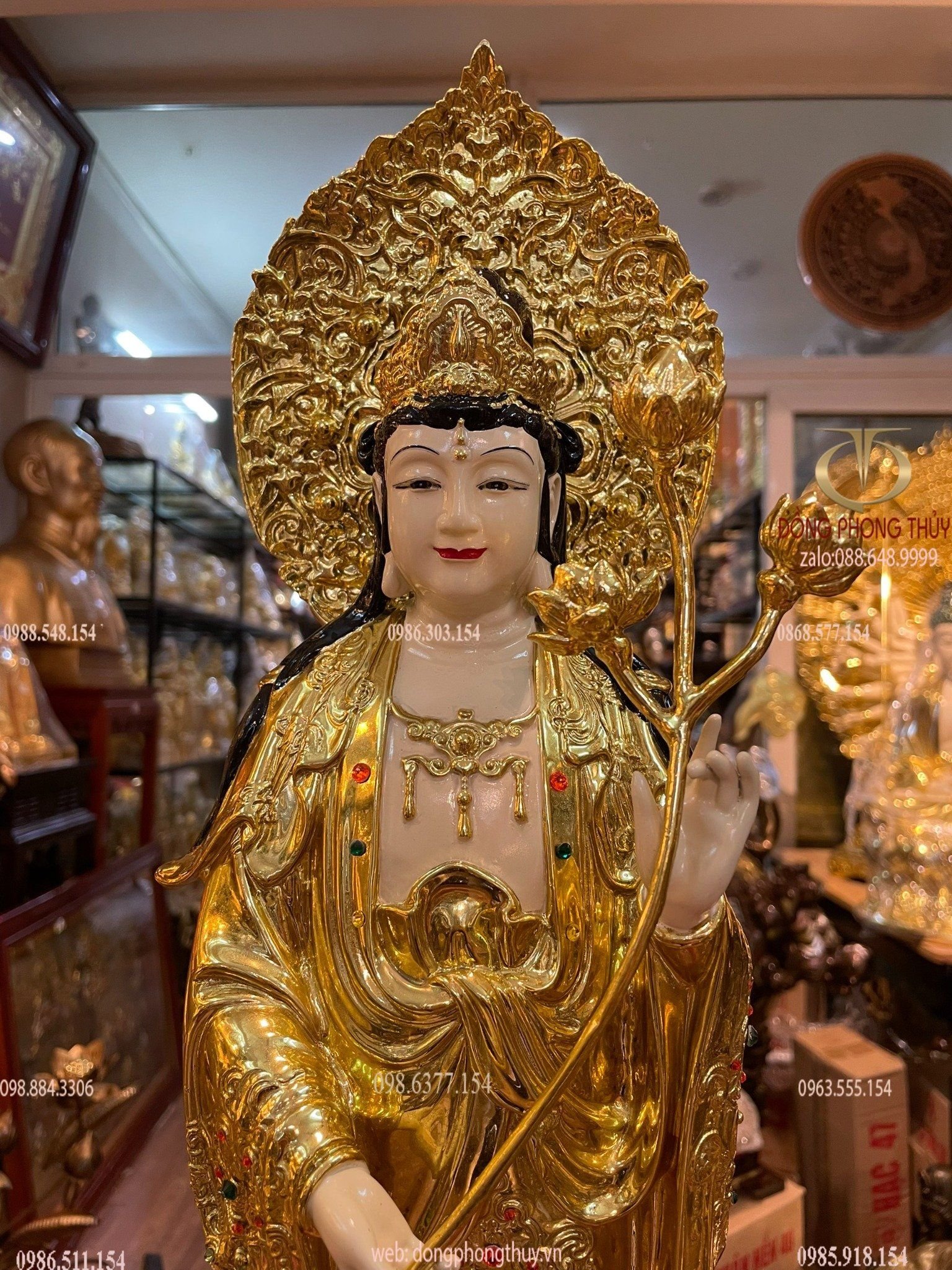 Hình ảnh sản phẩm