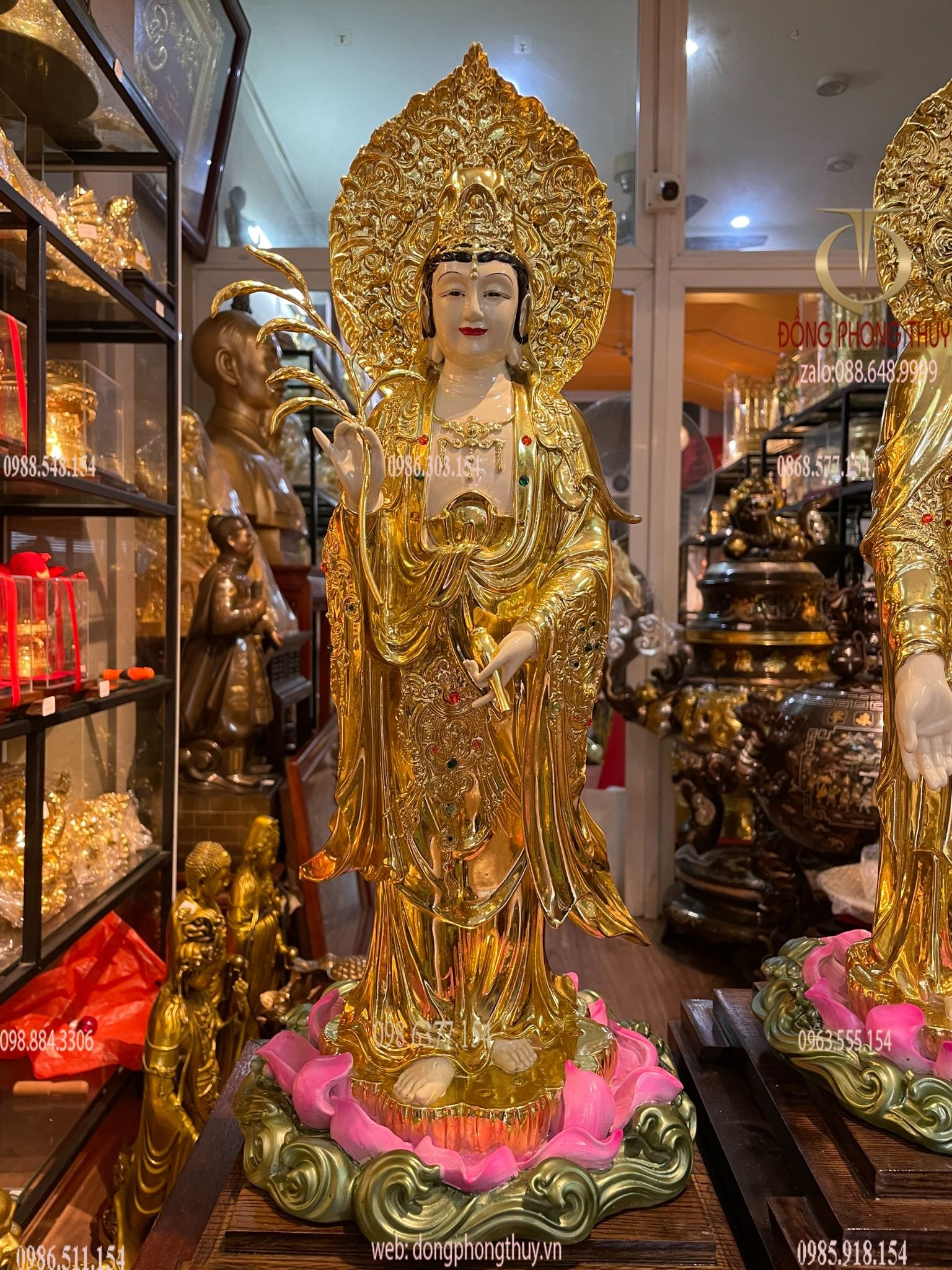 Hình ảnh sản phẩm
