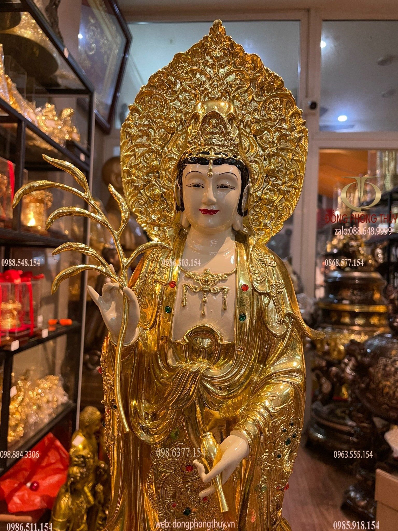Hình ảnh sản phẩm