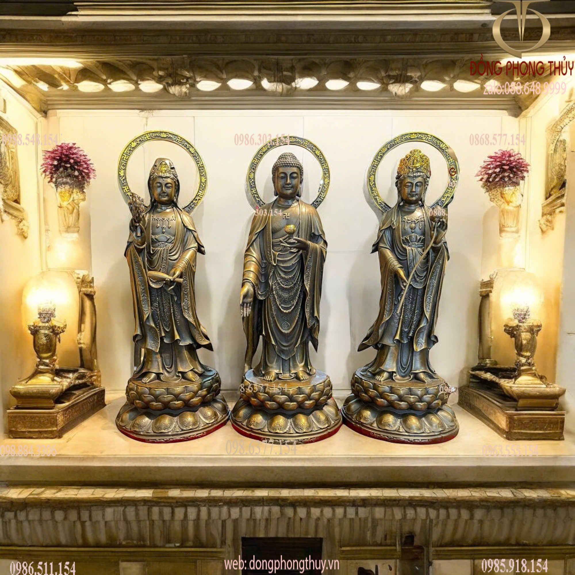 Hình ảnh sản phẩm