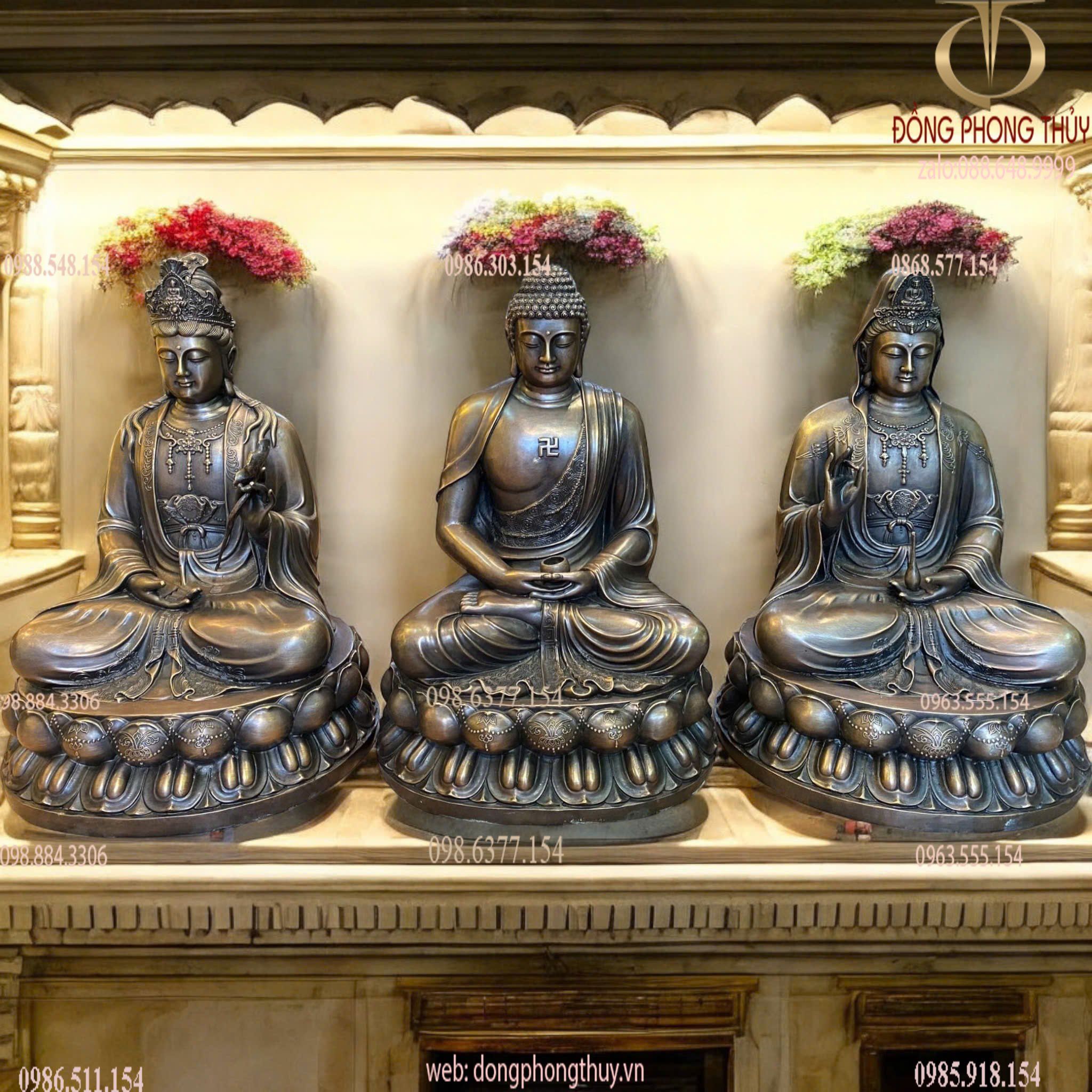 Hình ảnh sản phẩm
